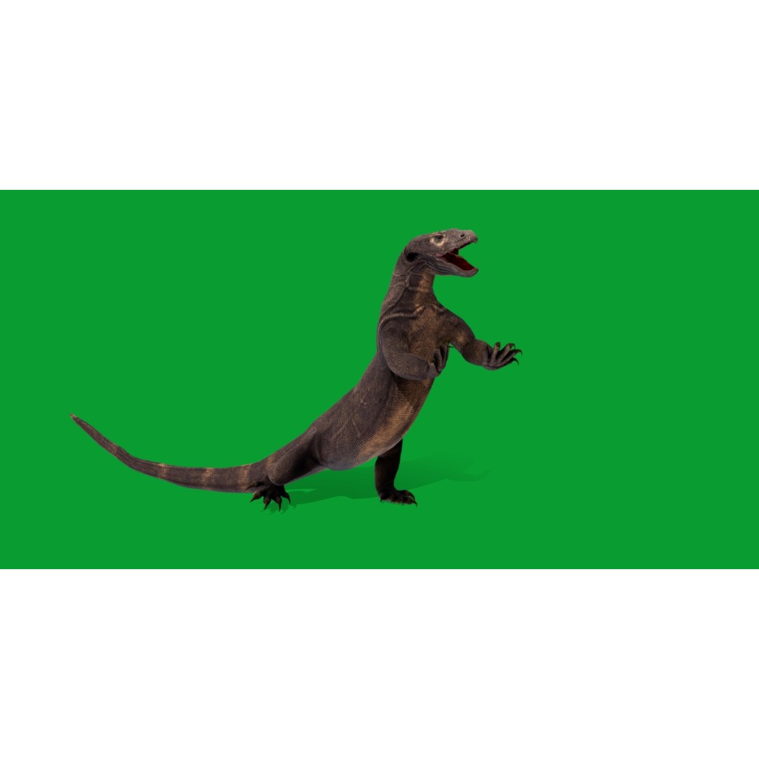 Komodo Dragon 3D Model – Low Poly Game Ready, FBX, Blender - View 37