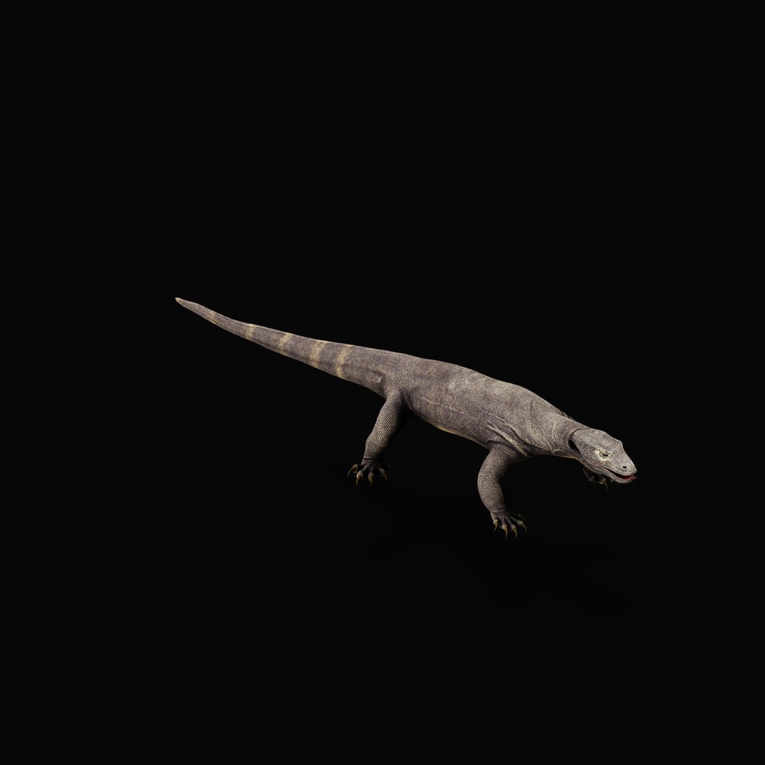 Komodo Dragon 3D Model – Low Poly Game Ready, FBX, Blender - View 46