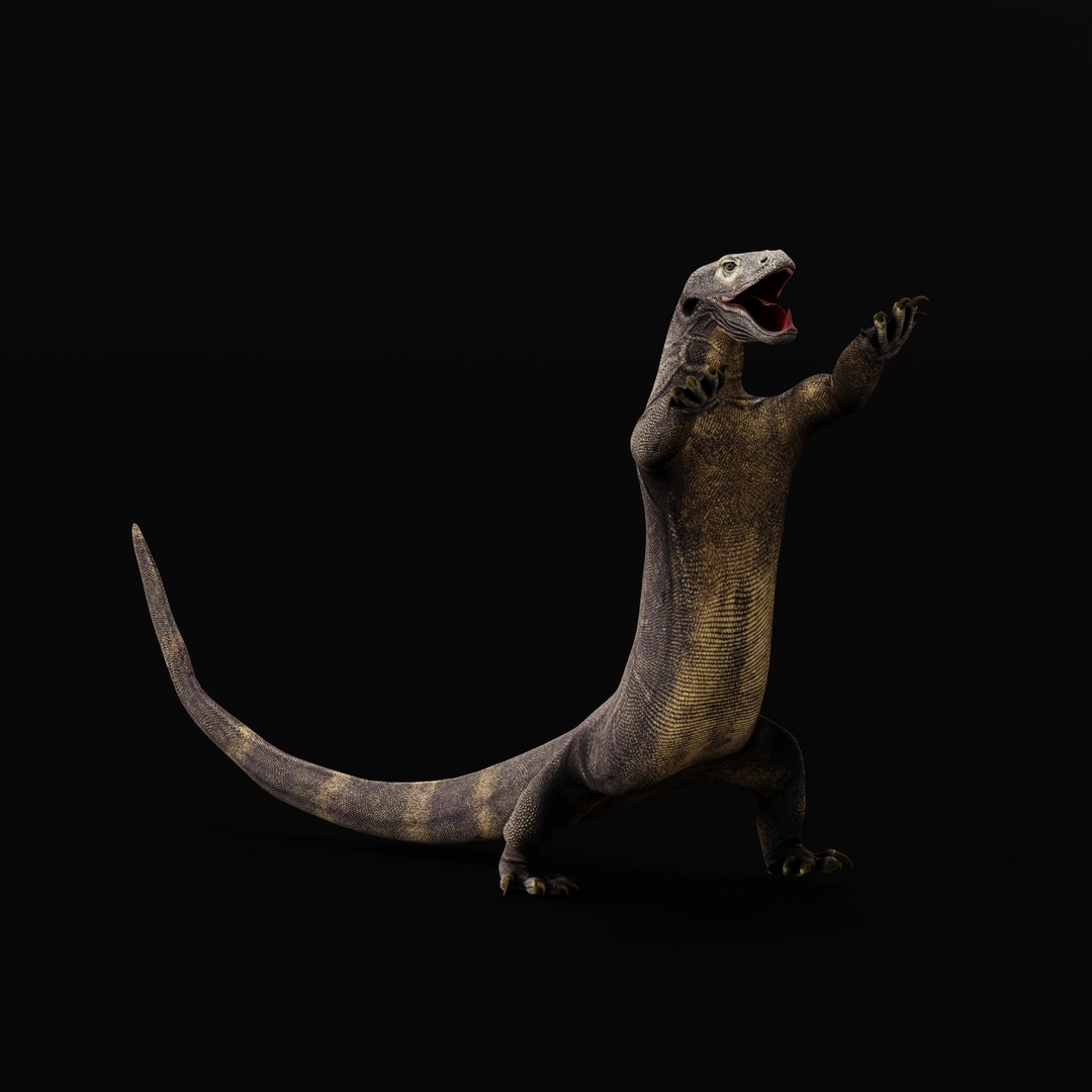 Komodo Dragon 3D Model – Low Poly Game Ready, FBX, Blender - View 47