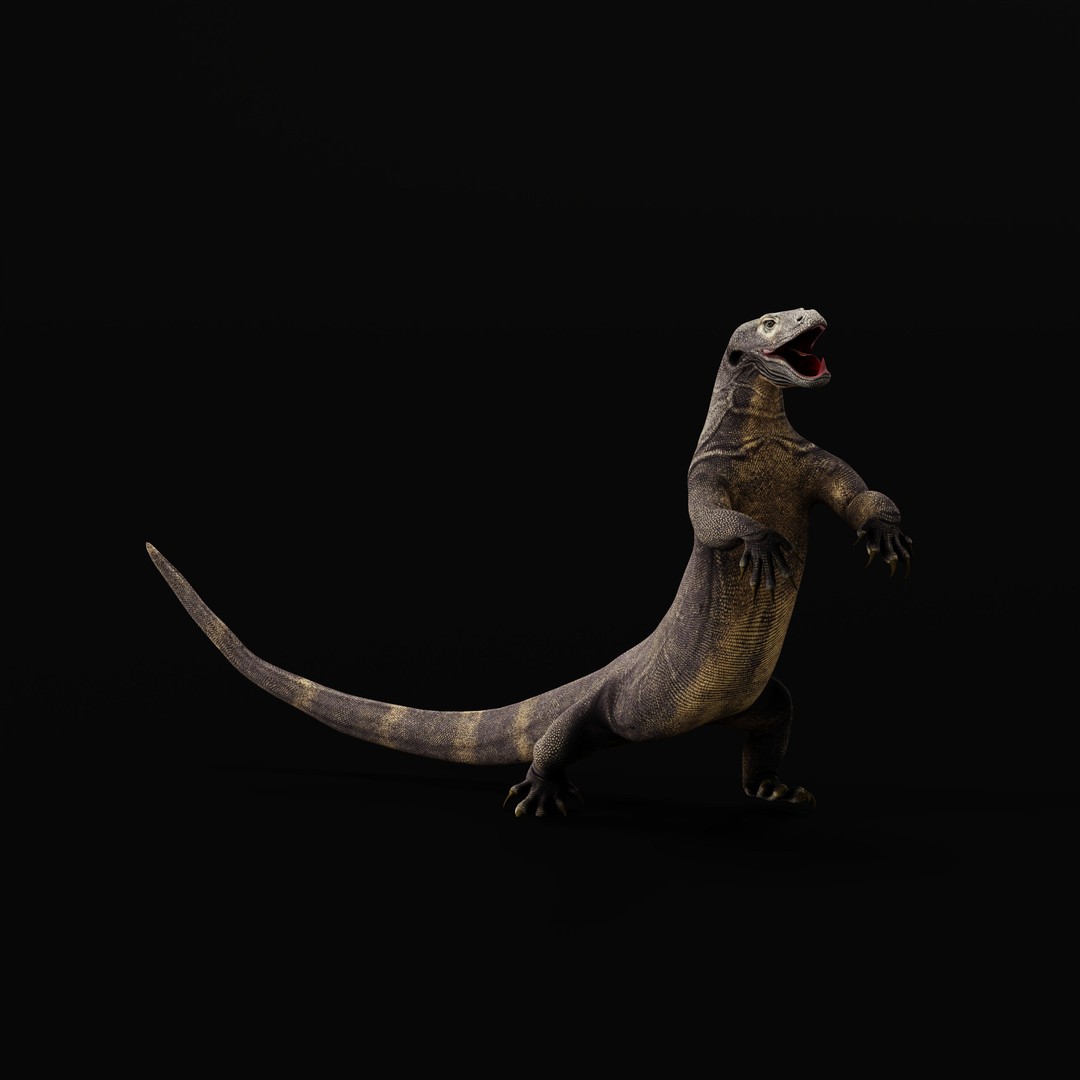Komodo Dragon 3D Model – Low Poly Game Ready, FBX, Blender - View 48