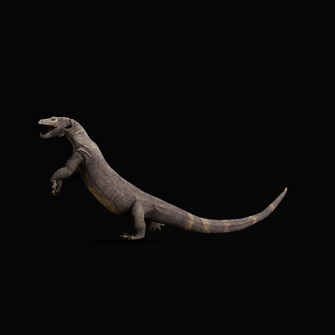 Komodo Dragon 3D Model – Low Poly Game Ready, FBX, Blender - View 49