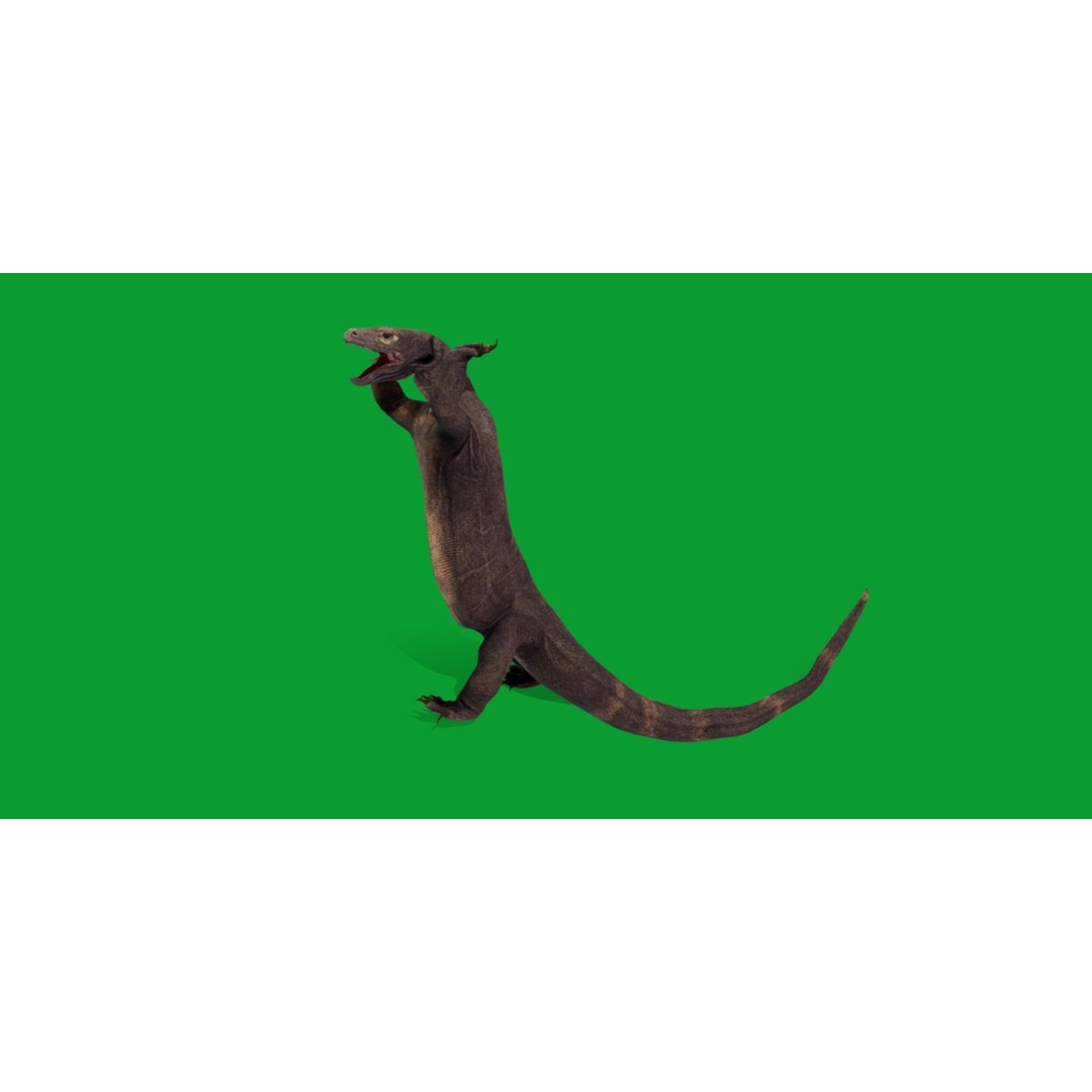 Komodo Dragon 3D Model – Low Poly Game Ready, FBX, Blender - View 8