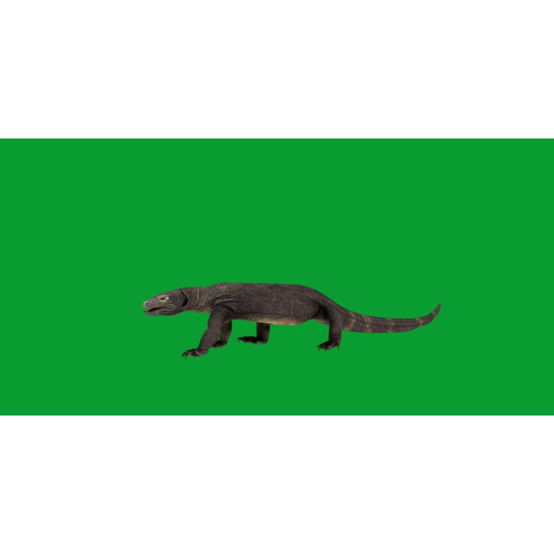 Komodo Dragon 3D Model – Low Poly Game Ready, FBX, Blender - View 9