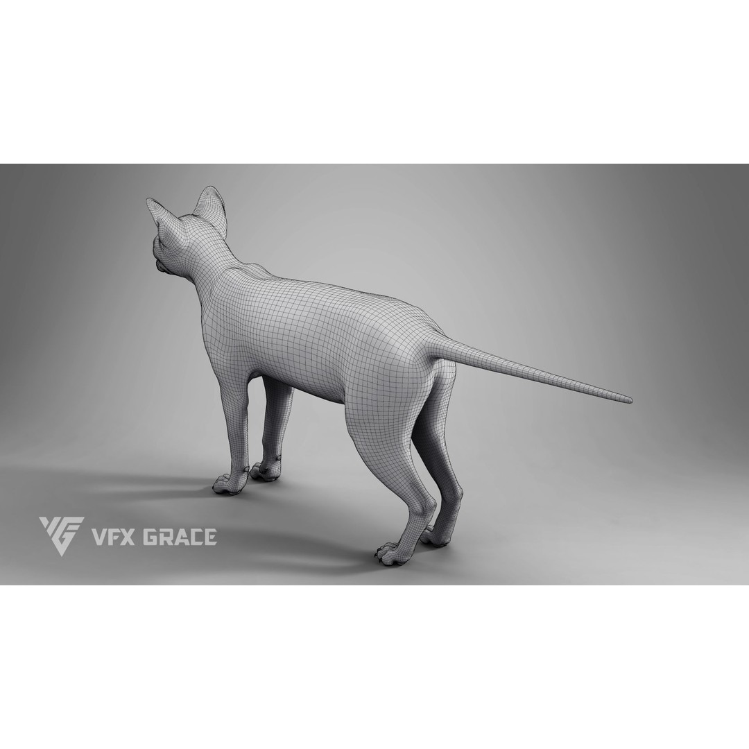 Grey Tabby Cat 3D Model – Rigged Character with Realistic Fur and Textures