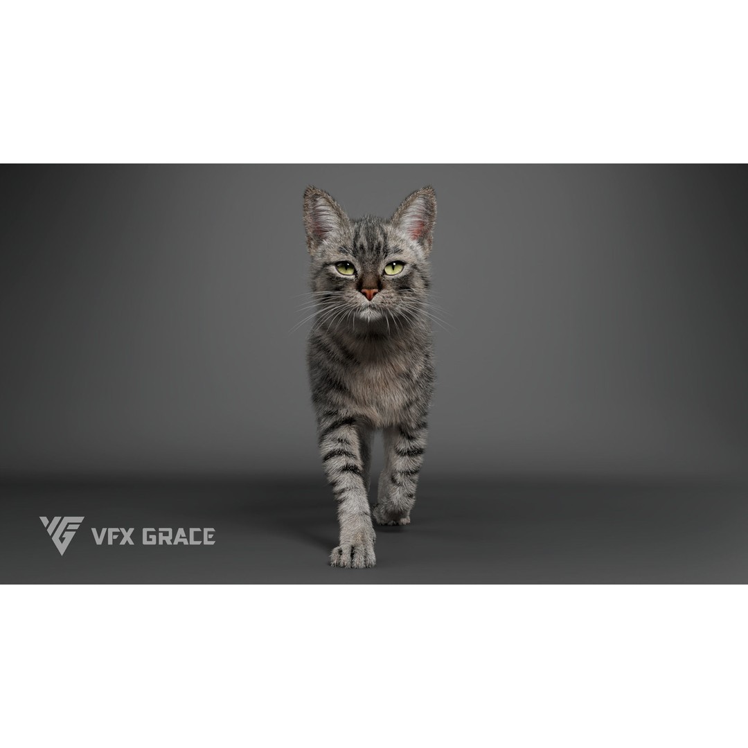 Grey Tabby Cat 3D Model – Rigged Character with Realistic Fur and Textures - View 10