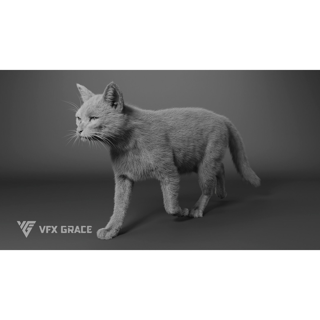 Grey Tabby Cat 3D Model – Rigged Character with Realistic Fur and Textures - View 14