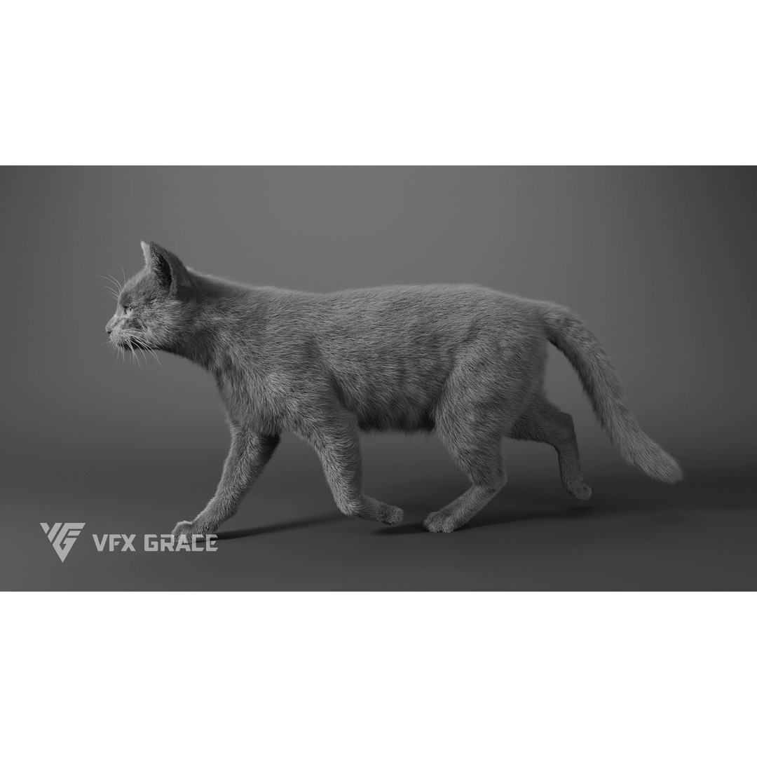 Grey Tabby Cat 3D Model – Rigged Character with Realistic Fur and Textures - View 15