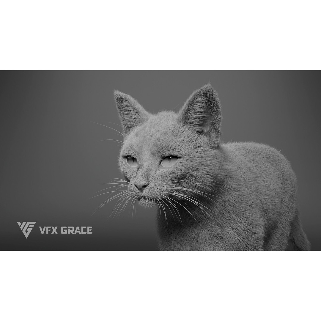 Grey Tabby Cat 3D Model – Rigged Character with Realistic Fur and Textures - View 16