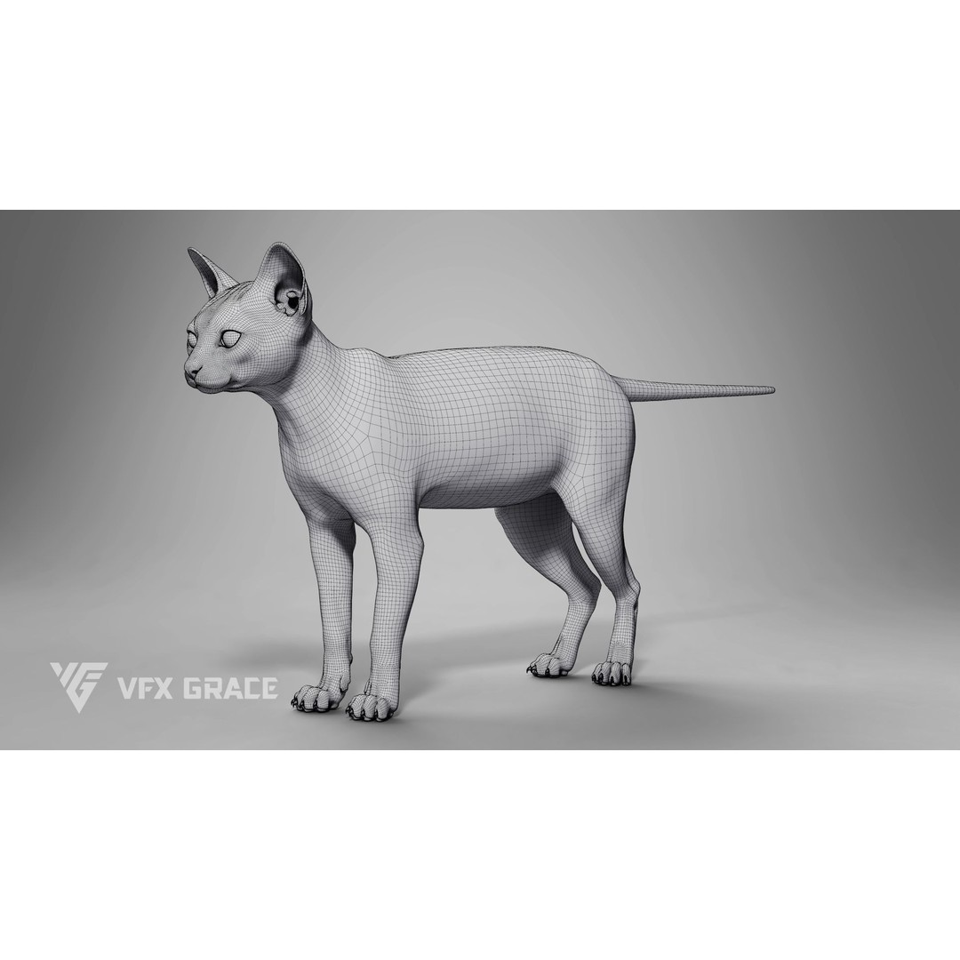 Grey Tabby Cat 3D Model – Rigged Character with Realistic Fur and Textures - View 22