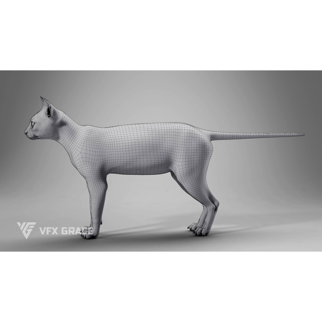 Grey Tabby Cat 3D Model – Rigged Character with Realistic Fur and Textures - View 23