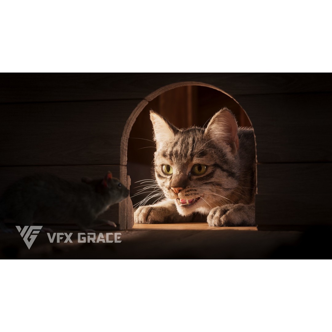 Grey Tabby Cat 3D Model – Rigged Character with Realistic Fur and Textures - View 3