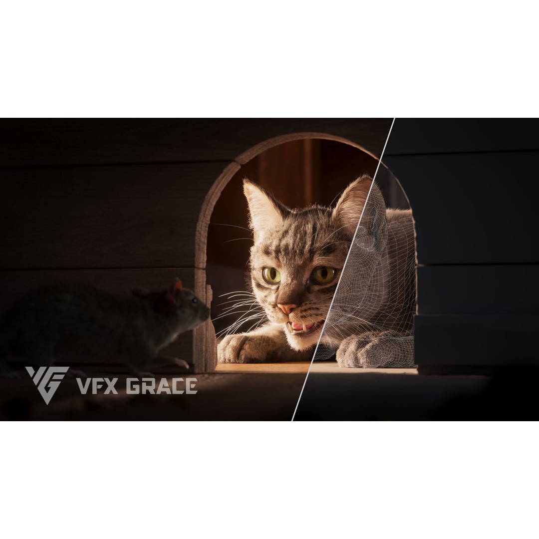 Grey Tabby Cat 3D Model – Rigged Character with Realistic Fur and Textures - View 5