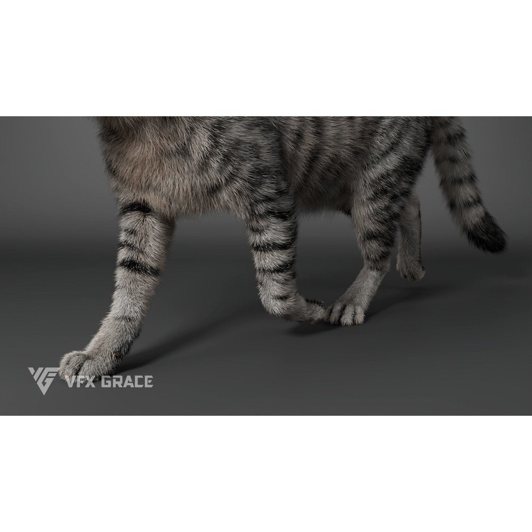 Grey Tabby Cat 3D Model – Rigged Character with Realistic Fur and Textures - View 7