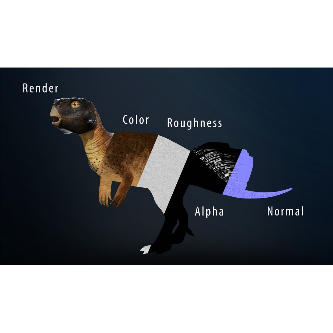 Psittacosaurus 3D Model – Low Poly Rigged Dinosaur with PBR Textures - View 10