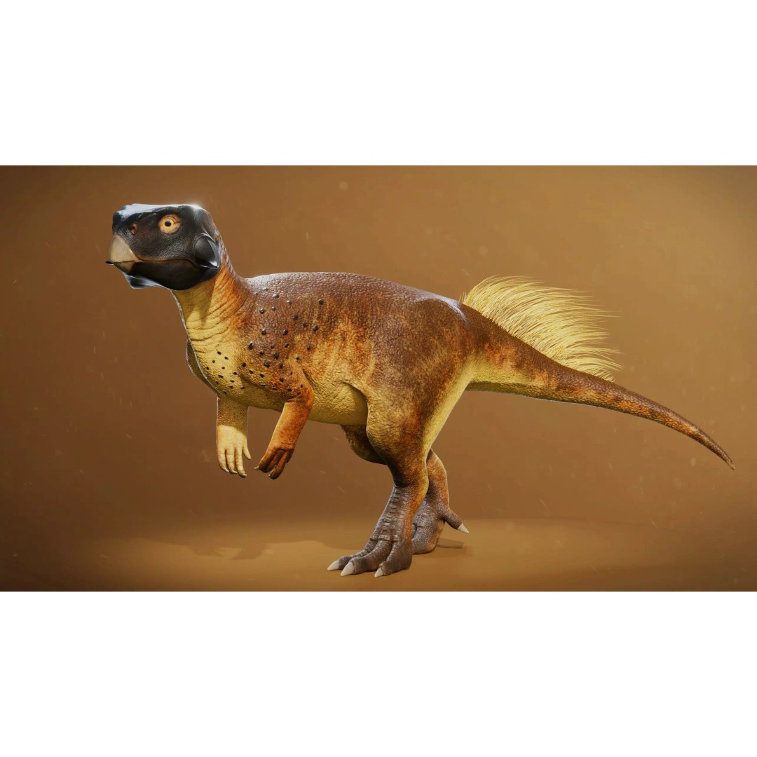 Psittacosaurus 3D Model – Low Poly Rigged Dinosaur with PBR Textures - View 2