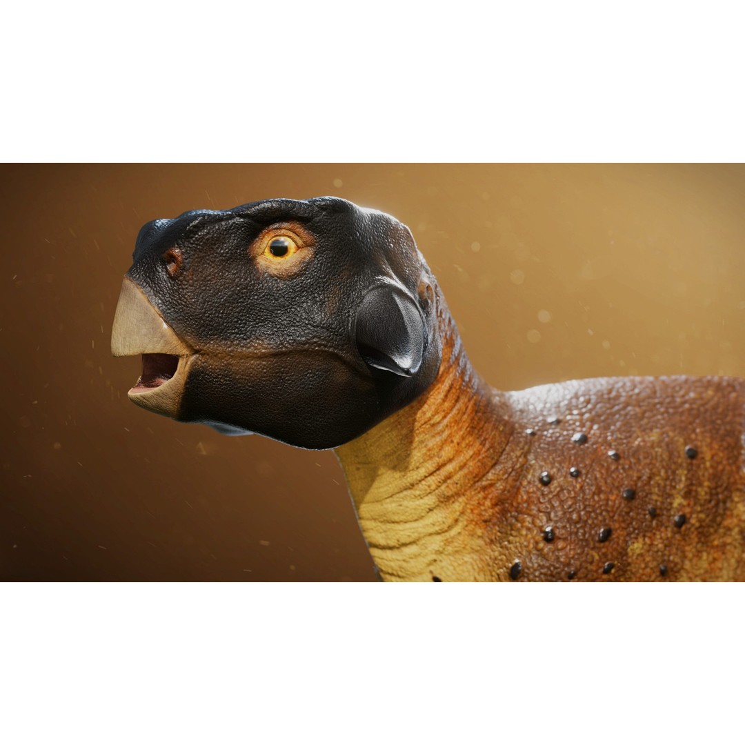 Psittacosaurus 3D Model – Low Poly Rigged Dinosaur with PBR Textures - View 3
