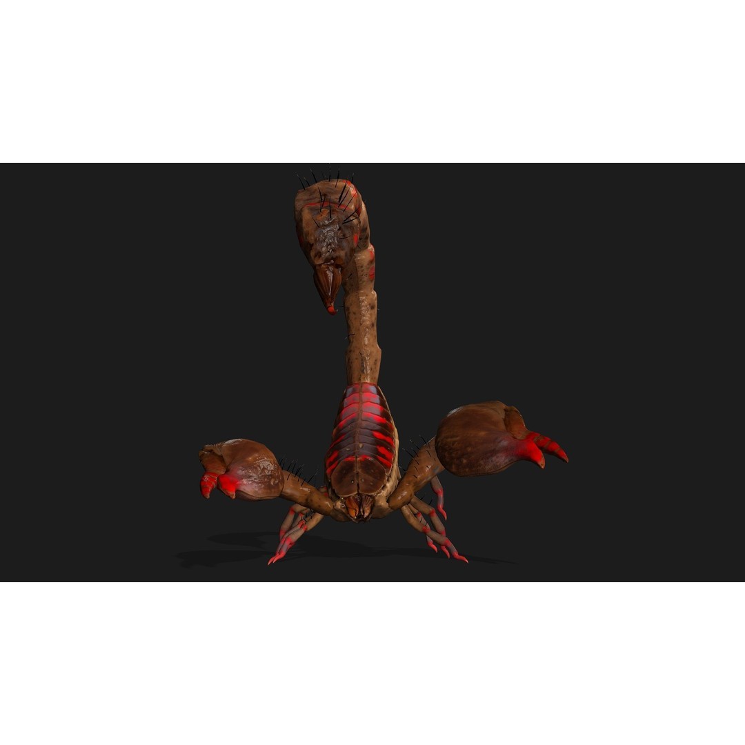 Scorpion 3D Model – Rigged Creature with PBR Textures, FBX - View 10
