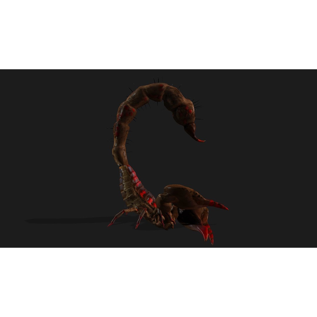 Scorpion 3D Model – Rigged Creature with PBR Textures, FBX - View 11
