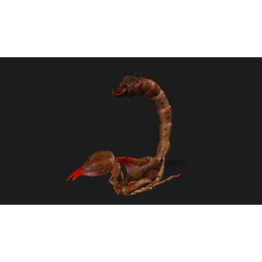 Scorpion 3D Model – Rigged Creature with PBR Textures, FBX - View 12