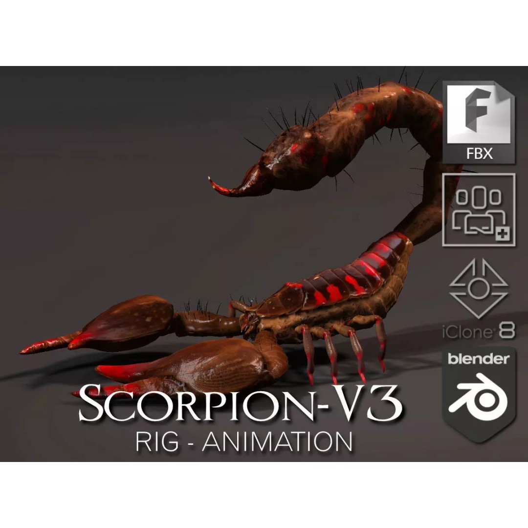 Scorpion 3D Model – Rigged Creature with PBR Textures, FBX - View 2