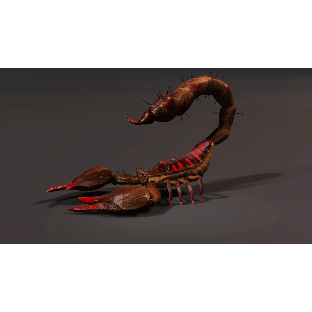 Scorpion 3D Model – Rigged Creature with PBR Textures, FBX - View 3