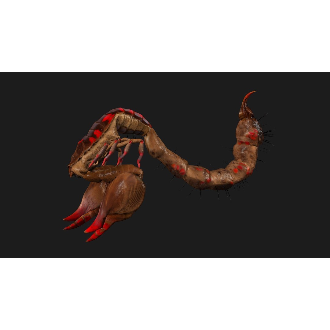 Scorpion 3D Model – Rigged Creature with PBR Textures, FBX - View 4