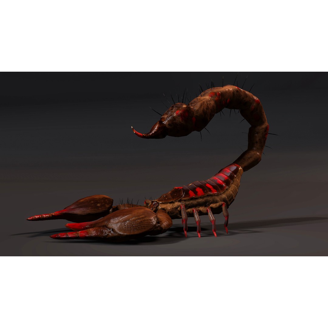 Scorpion 3D Model – Rigged Creature with PBR Textures, FBX - View 5