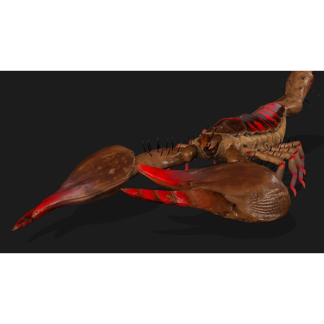 Scorpion 3D Model – Rigged Creature with PBR Textures, FBX - View 8