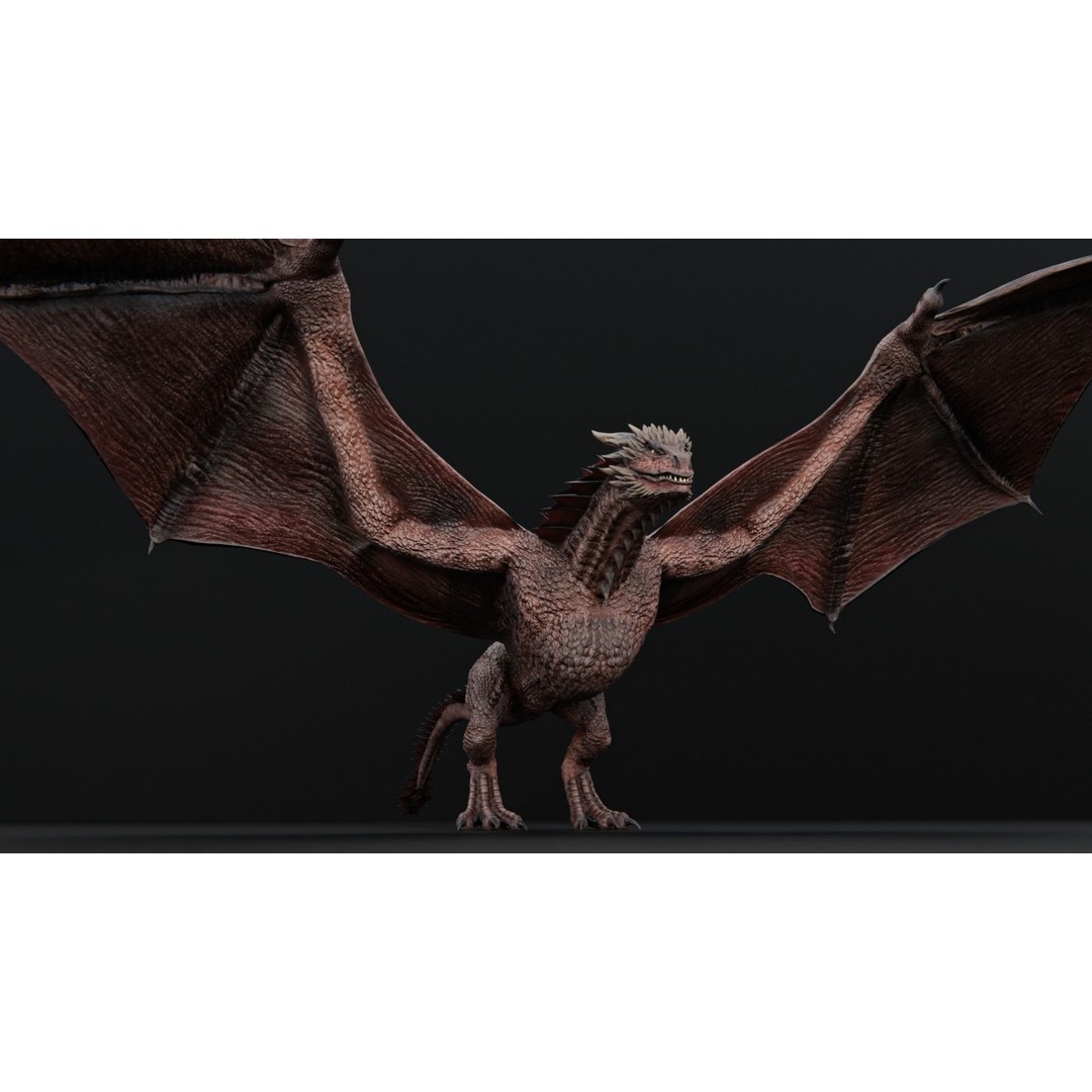 Wyvern Dragon 3D Model – Low Poly Rigged Creature with Animations - View 12