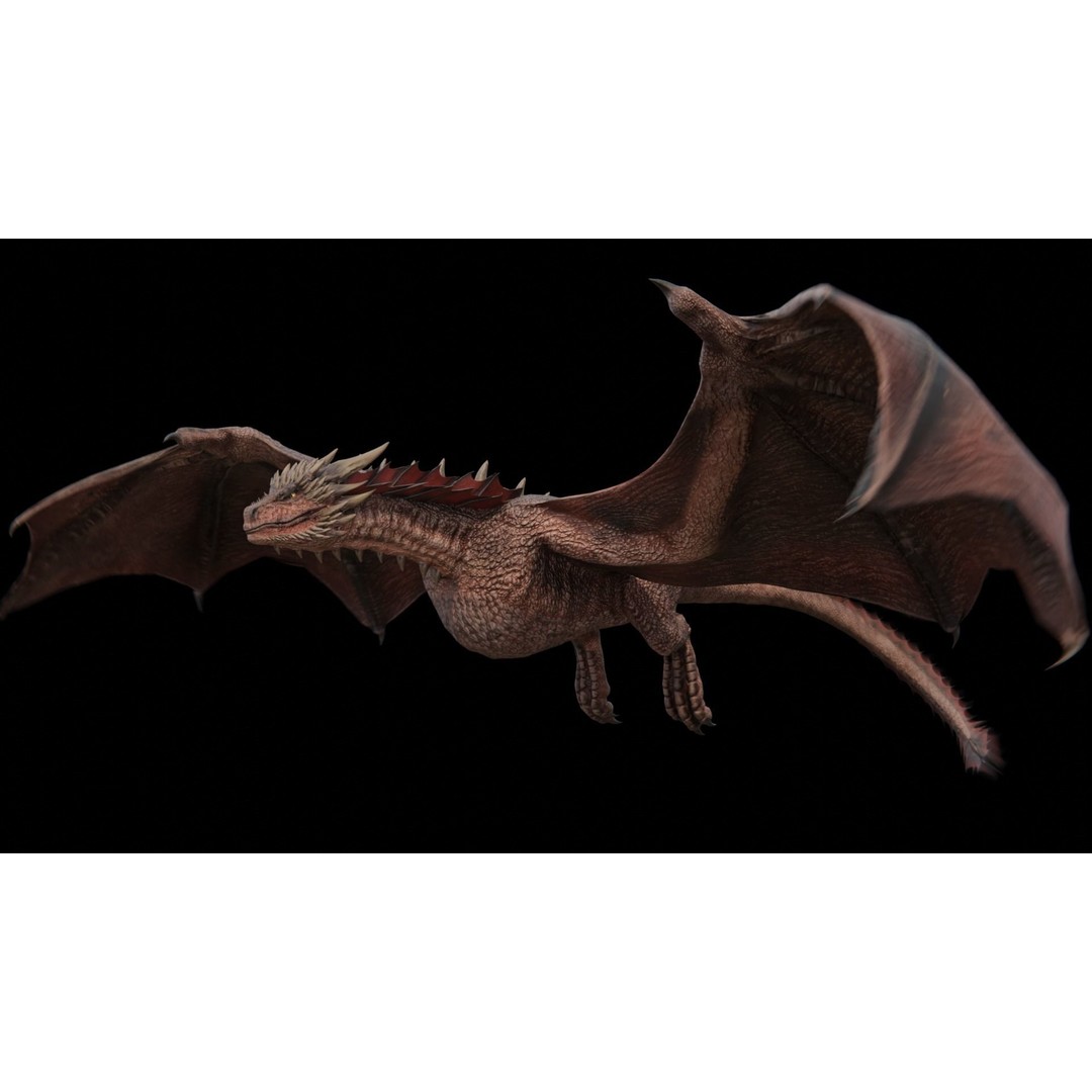 Wyvern Dragon 3D Model – Low Poly Rigged Creature with Animations - View 14