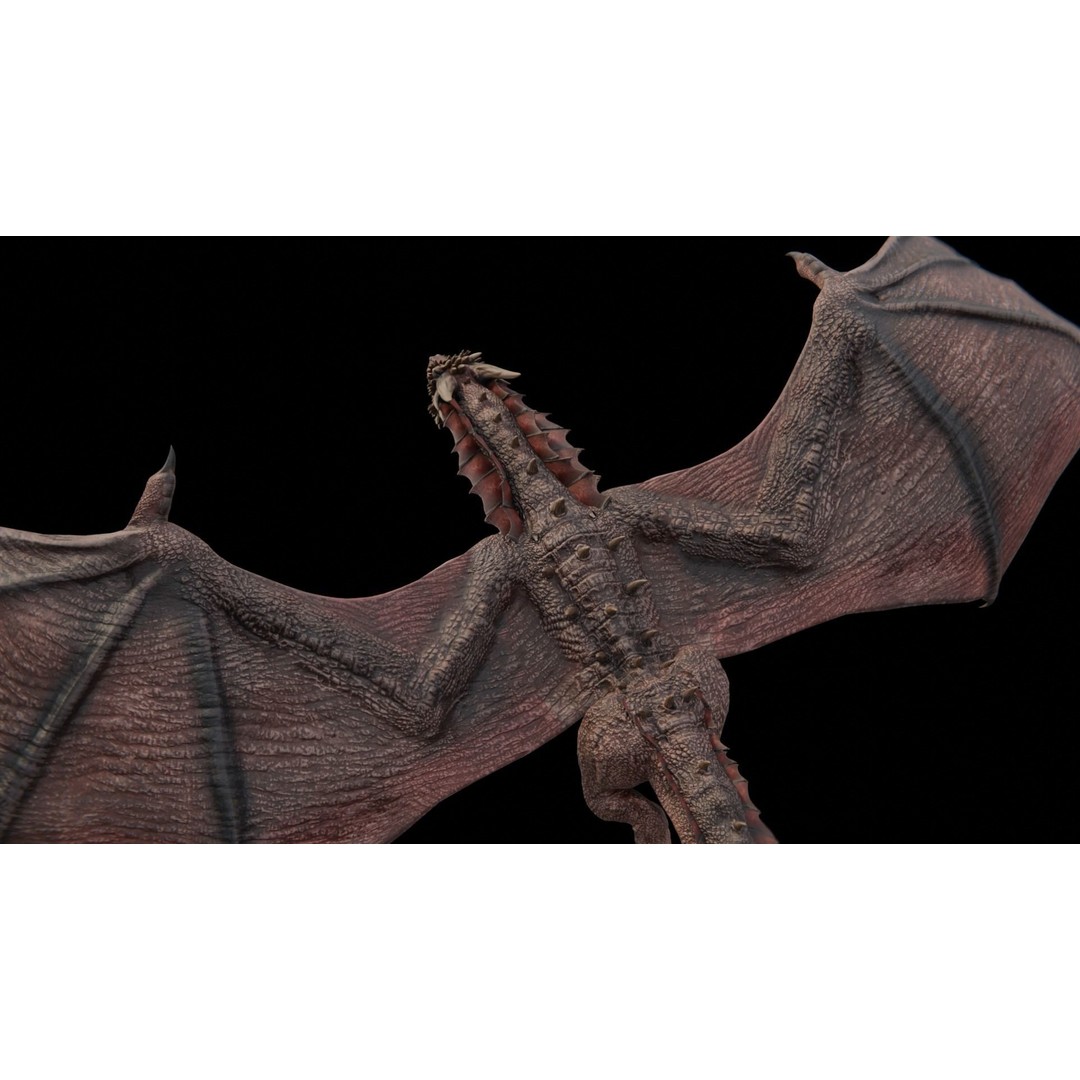 Wyvern Dragon 3D Model – Low Poly Rigged Creature with Animations - View 15