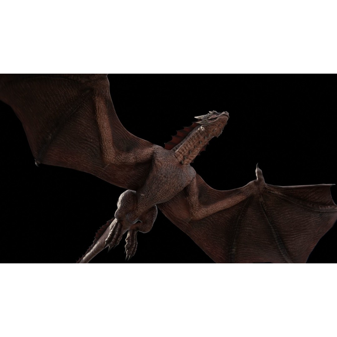 Wyvern Dragon 3D Model – Low Poly Rigged Creature with Animations - View 17