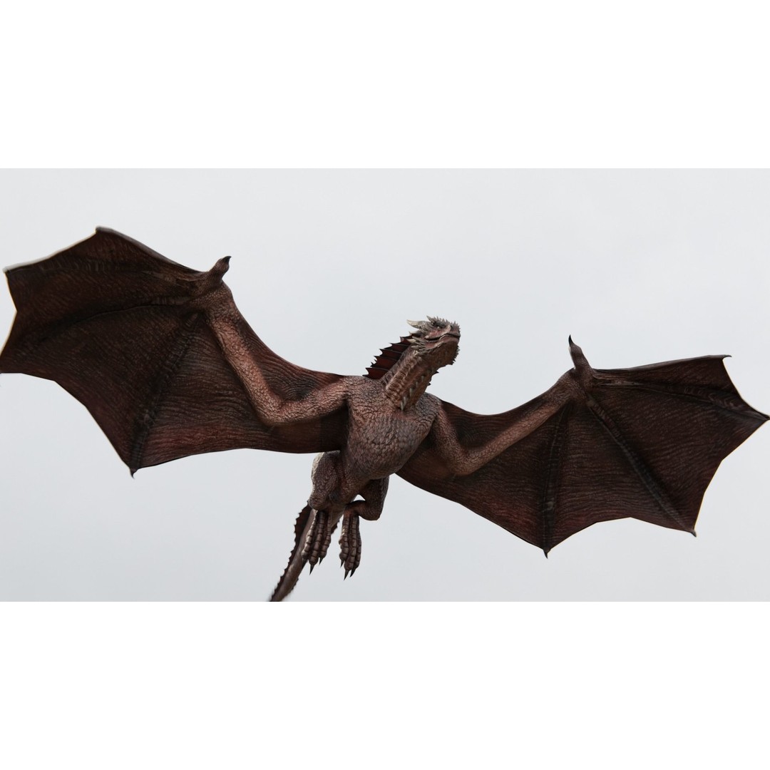 Wyvern Dragon 3D Model – Low Poly Rigged Creature with Animations - View 21