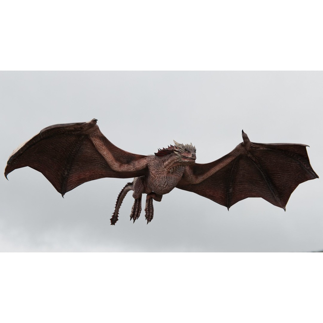 Wyvern Dragon 3D Model – Low Poly Rigged Creature with Animations - View 37