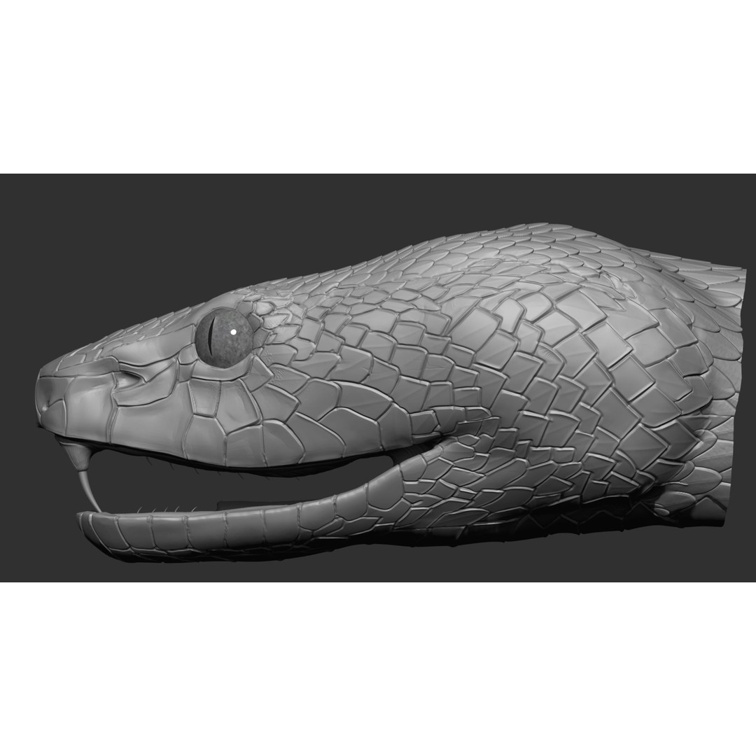 Blue Viper 3D Model – Low Poly Rigged Animation Asset, FBX