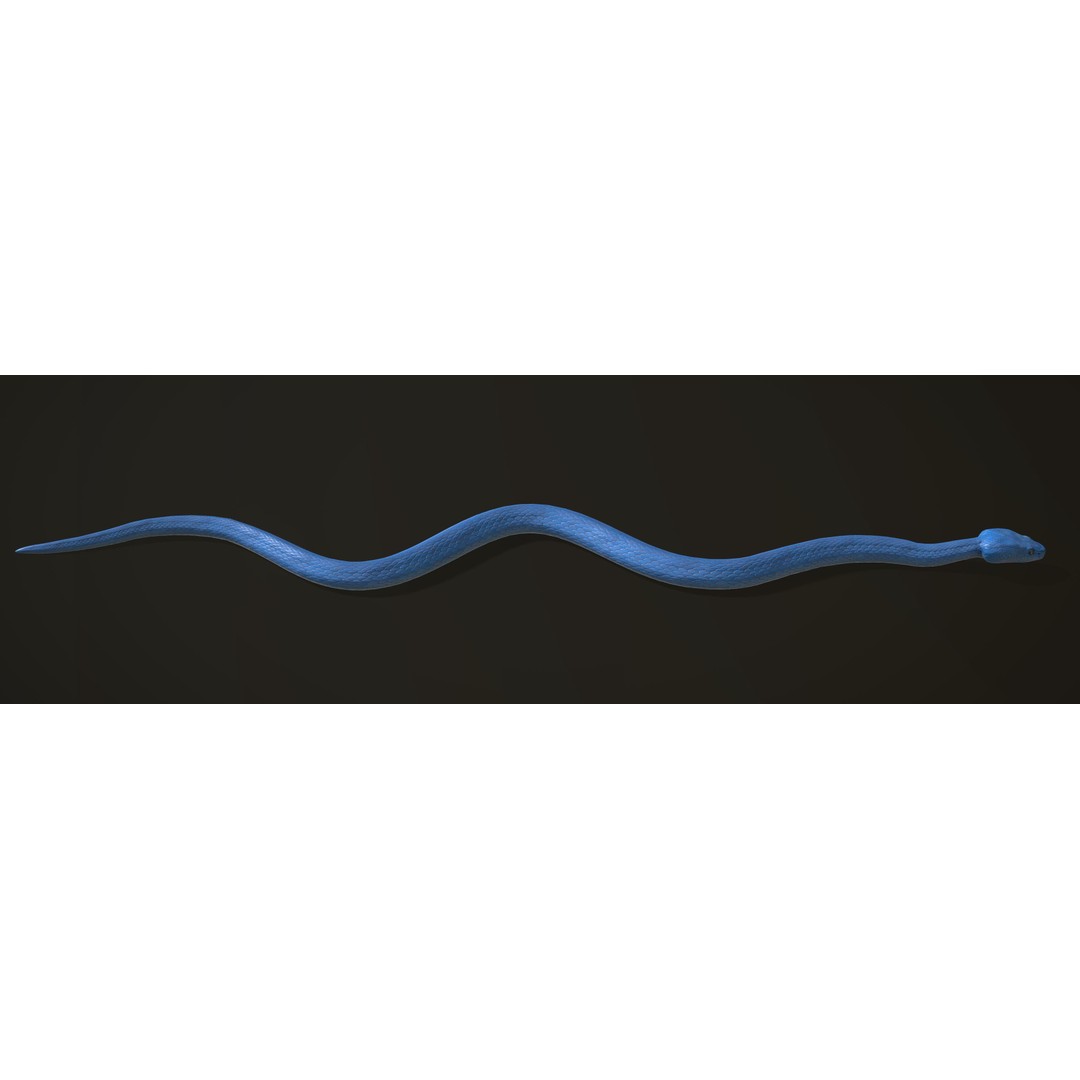 Blue Viper 3D Model – Low Poly Rigged Animation Asset, FBX - View 10
