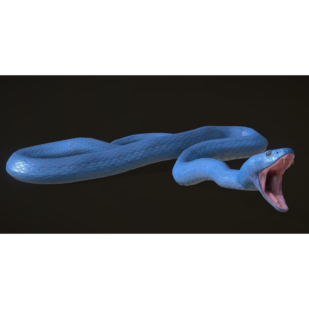 Blue Viper 3D Model – Low Poly Rigged Animation Asset, FBX - View 12