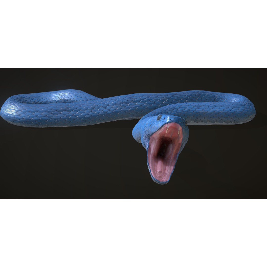 Blue Viper 3D Model – Low Poly Rigged Animation Asset, FBX - View 13