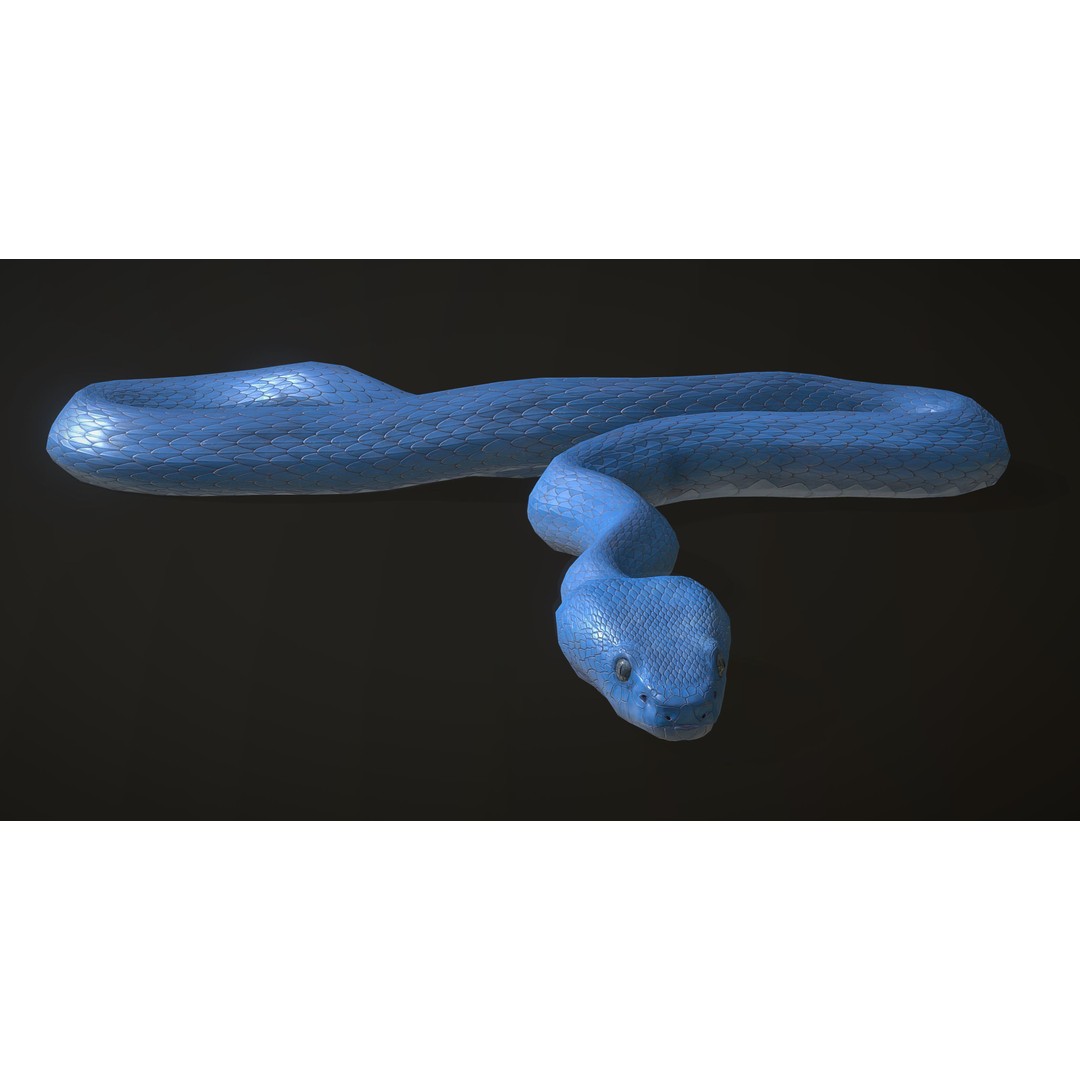 Blue Viper 3D Model – Low Poly Rigged Animation Asset, FBX - View 14