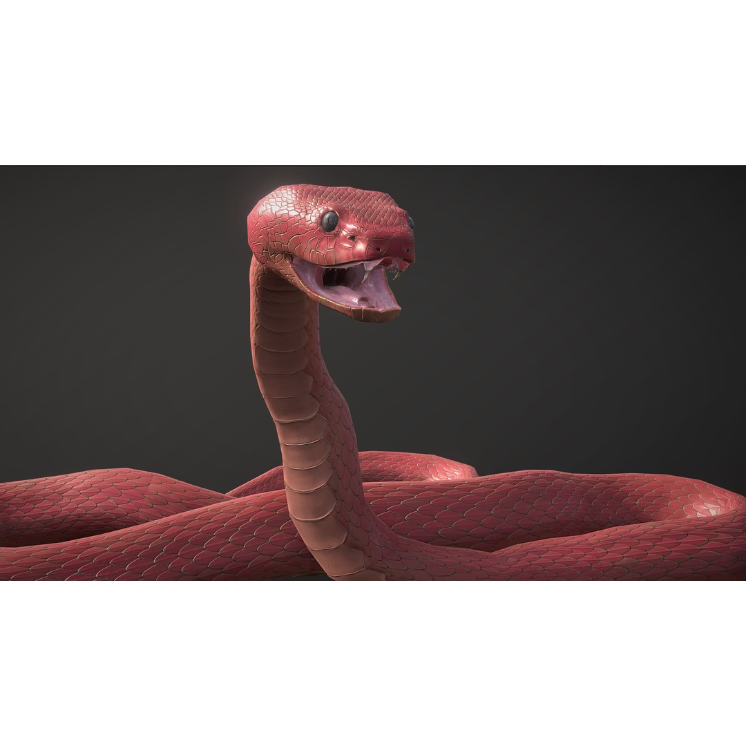 Blue Viper 3D Model – Low Poly Rigged Animation Asset, FBX - View 16