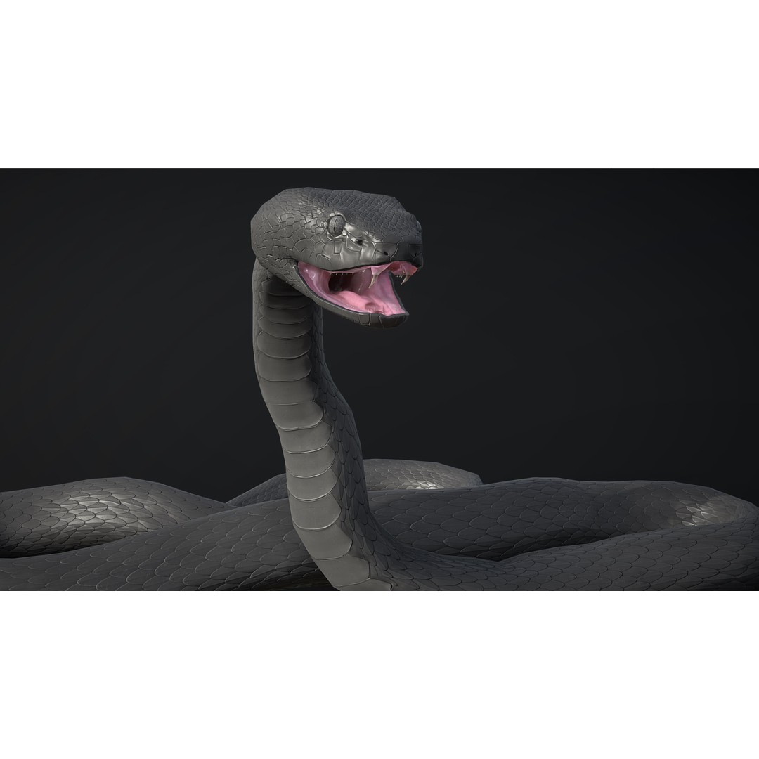Blue Viper 3D Model – Low Poly Rigged Animation Asset, FBX - View 19
