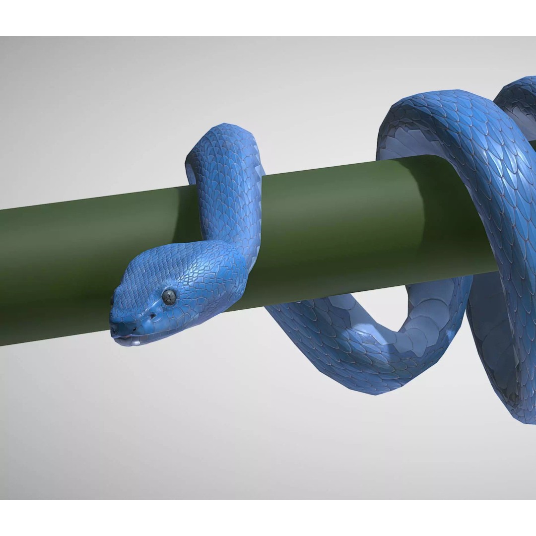 Blue Viper 3D Model – Low Poly Rigged Animation Asset, FBX - View 2