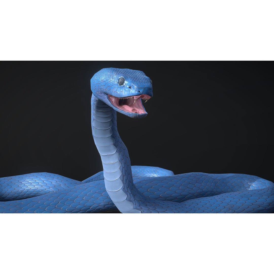 Blue Viper 3D Model – Low Poly Rigged Animation Asset, FBX - View 20
