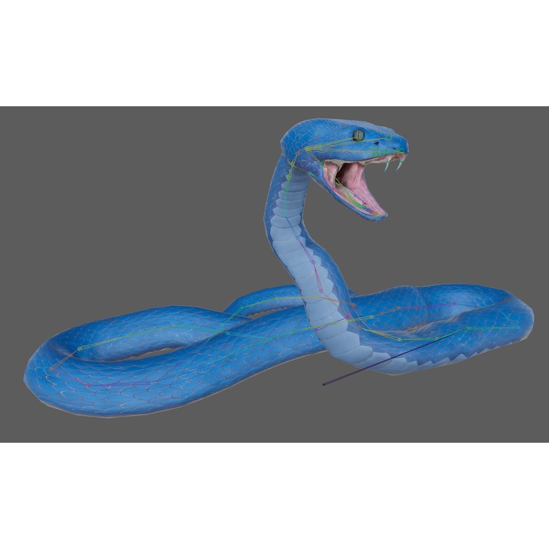Blue Viper 3D Model – Low Poly Rigged Animation Asset, FBX - View 23