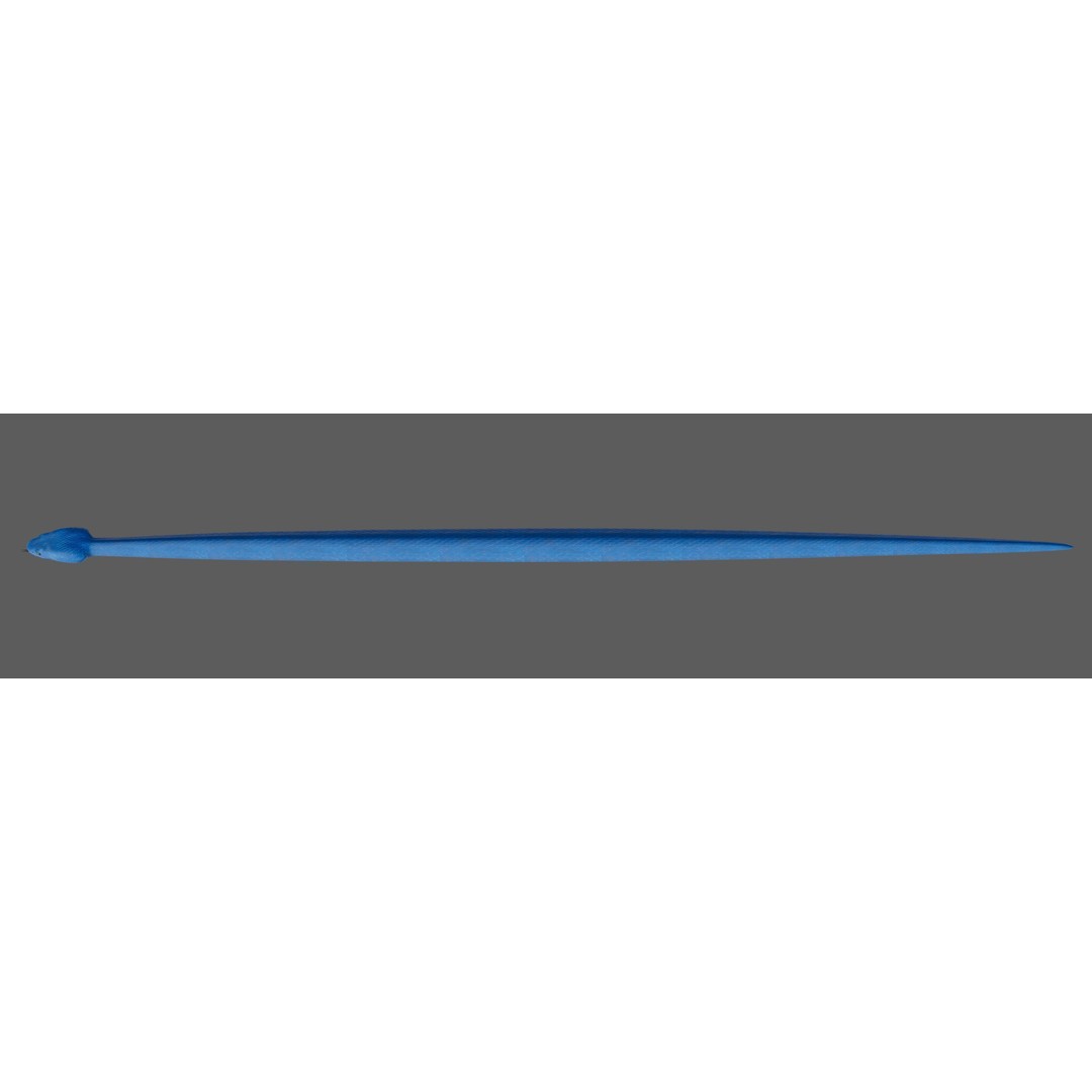 Blue Viper 3D Model – Low Poly Rigged Animation Asset, FBX - View 25