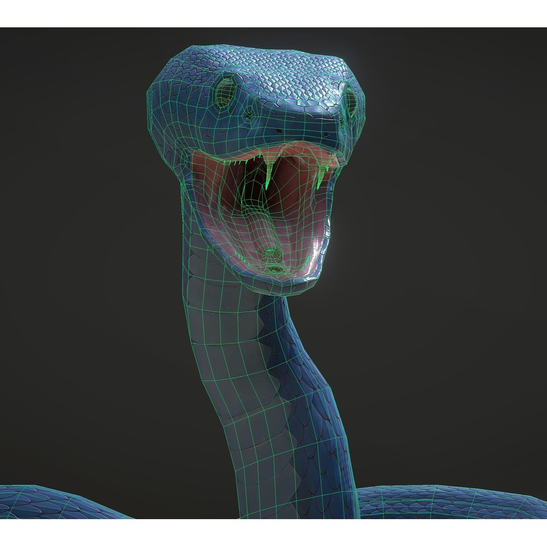 Blue Viper 3D Model – Low Poly Rigged Animation Asset, FBX - View 28