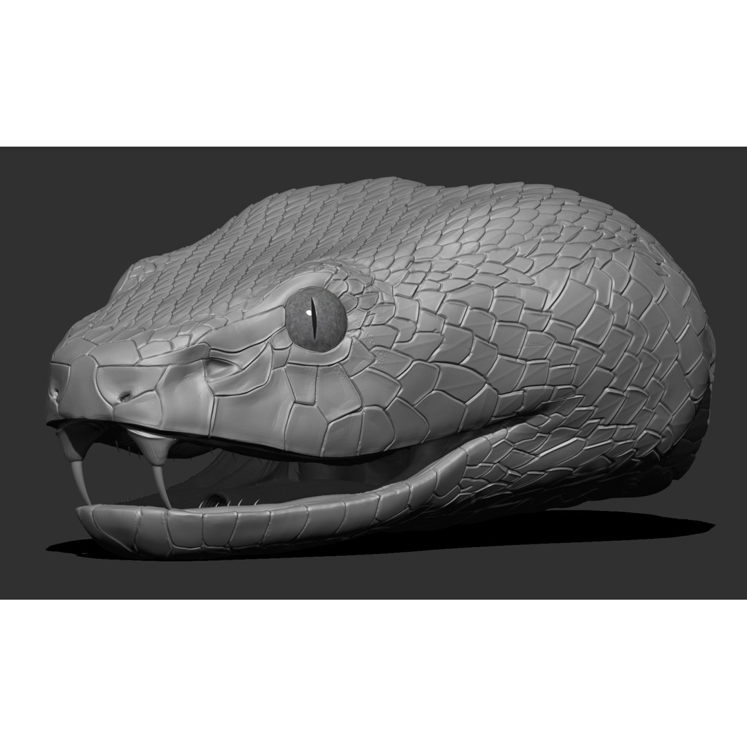 Blue Viper 3D Model – Low Poly Rigged Animation Asset, FBX - View 29