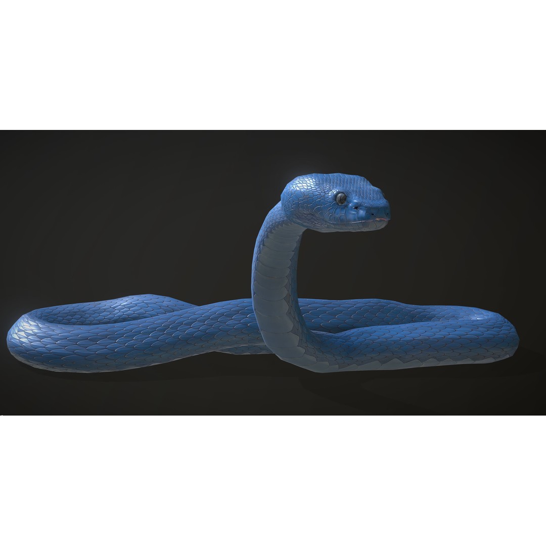 Blue Viper 3D Model – Low Poly Rigged Animation Asset, FBX - View 3