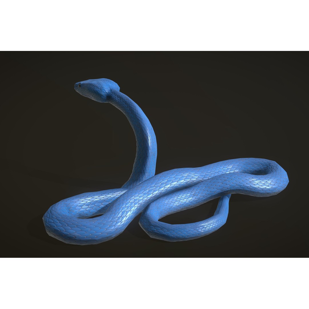 Blue Viper 3D Model – Low Poly Rigged Animation Asset, FBX - View 5