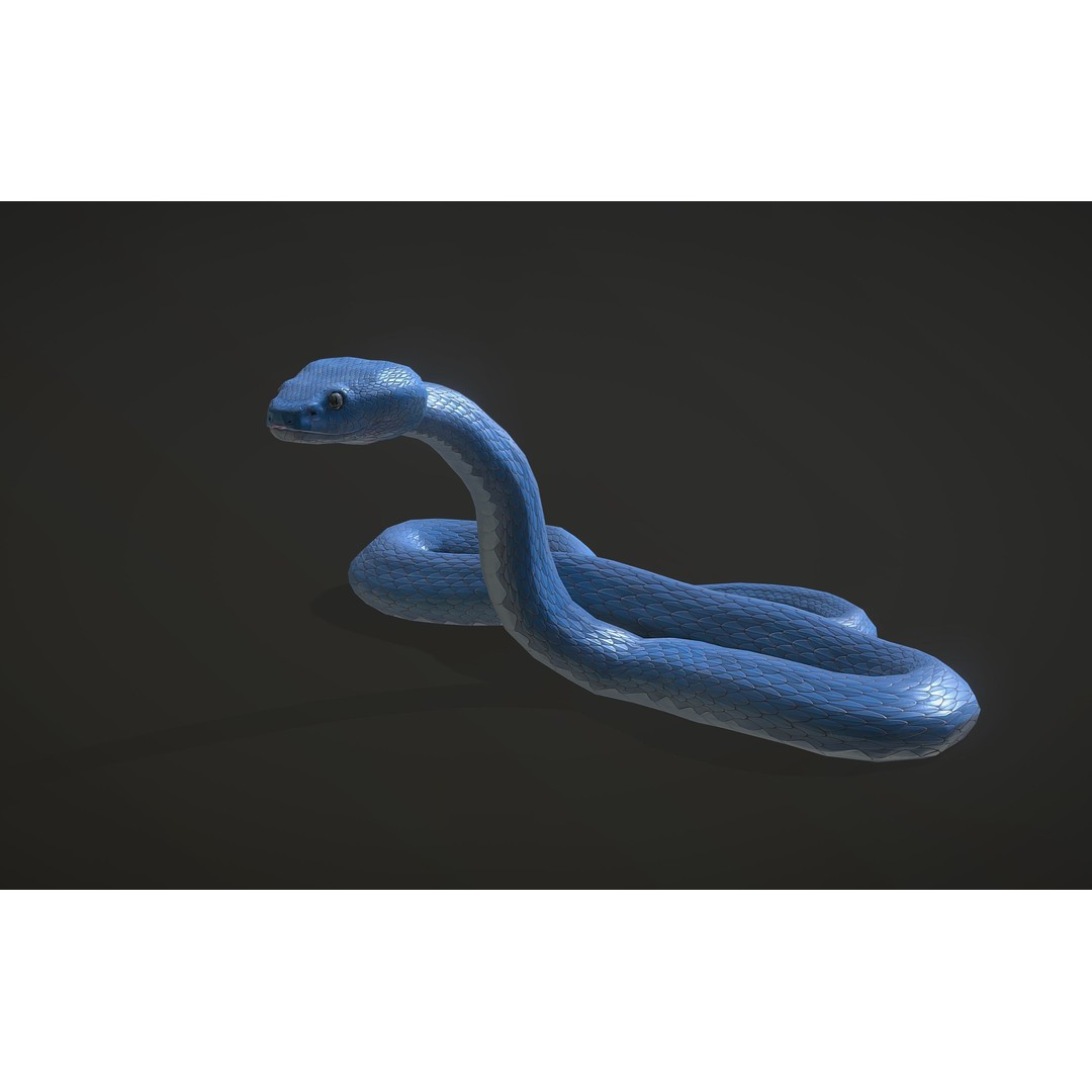Blue Viper 3D Model – Low Poly Rigged Animation Asset, FBX - View 6